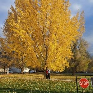 Meet your Posher, Milena